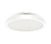 Laevalgusti vannituppa Milagro Vera, 24W, 4000K, IP65, valge