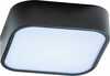 Vannitoa laevalgusti Azzardo LUCIE AZ4146, 2xE27, 20W, 230V, IP44, must