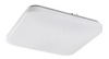 Laevalgusti Rabalux Vendel, 75014-LED, 20W, 4000K, 32x32 cm