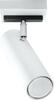 Laelamp Sollux Direzione 1, 40 W, GU10, valge
