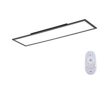 LED paneel Paul Neuhaus 16533-16-O, dimmerdatav, 24W, 230V