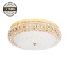 Laelamp Domoletti Celsi, B1887-1, 36 W, LED, 3000 - 6500 K