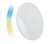 Laelamp Wojnarowscy Nymphea, 36W, 2700-6500K, Wi-Fi Tuya