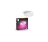 Vannitoa laelamp Philips Hue Xamento L, 52,5 W, RGB, IP44, d. 425
