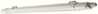 Tehniline valgusti Ledvance Submarine, Integrated Slim Value 600, 10 W, 4000 K, IP65
