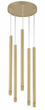 Rippvalgusti Sigma Sopel 33230, 5xG9, 2,5W, kuldne
