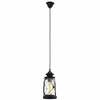 Rippvalgusti Eglo Bradford, 49213, 1xE27, 60 W, 230 V