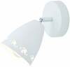 Seinavalgusti Candellux Coty, 91-67111, 40 W, E14