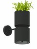 Seinavalgusti Sollux Kukkia, 40 W, GU10