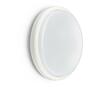 Seinalamp Philips LEDINAIRE, LED17W, 3000 K, IP65,