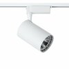 Siinivalgusti LED DPM Epistar COB STR-10W-W, 10 W, 4000 K, 820 lm, IP20, valge
