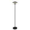 Põrandalamp Domoletti Auras P18352-1F, 13 W, LED