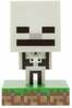 Valgusti Paladone Minecraft Skeleton Icon, mitmevärviline
