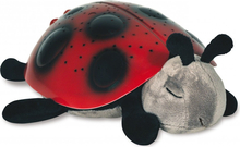 Projektor Cloud B Twilight Ladybug, CB7353-zz, punane