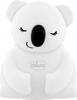 Laste öölamp Chicco Sweet Lights Koala, 138272, LED