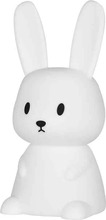 Öölamp Tellur Banny Night Light