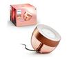 Laualamp Philips Hue Iris, 929002376803, 8.2W, vask, RGB