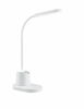 Laetav LED lauavalgusti Philips Bucket, 8 W, 3000/4000/5700 K, dimmerdatav, h24,5 cm