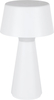 Laualamp Eglo Huesa, 75795-LED, laetav, LED 3W, USB-C, IP44, valge