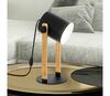 Laualamp Eglo Hornwood, 43047, 1xE27, 28W, 230V