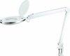 Suurendusklaasiga laualamp Rebel NAR0465-2, 10W, 6500K, LED