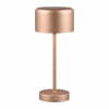 Lauavalgusti LED Reality Jeff, 1,5W, 3000K, 150lm, laetav USB, vase/kulla värvi, ø12x30cm