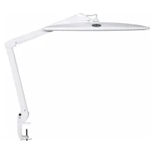 Laualamp Maul, 15 W, 6500 K, valge