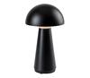 Laualamp Rabalux Ishtar 76007, LED, 3W, 5V, 2000mAh, IP44