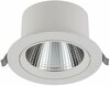 Süvistatav laelamp Nowodvorski Egina 10556, LED, 4000 K, valge