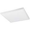 Pinnapealne LED paneel Spector Light, 45 W, 4000K, 4900 lm, IP20, 59,5 x 59,5 x 4 cm, valge