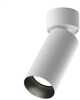 Laevalgusti Maytoni Artisan C082CL-01-GU10-W, 10 W, GU10