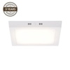 Pinnapealne LED-paneel Domoletti Ledo DLED-44, 24W, 3000K, LED, valge