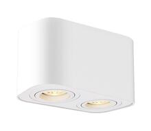 Sisseehitatav aktsentvalgusti Rabalux Kobald 2054, 2xGU10, 42W, 230V, valge