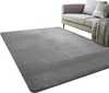 Vaip Strado Polar, 300 x 200 cm, hall