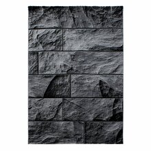 Vaip Ayyildiz Parma 1402009250, 200 x 140 cm, must