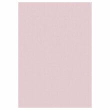 Vaip Sky 2403405400, 340 x 240 cm, roosa