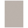 Vaip Sky SKY2002905400BEIGE, 290 x 200 cm, beež