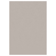 Vaip Sky SKY2002905400BEIGE, 290 x 200 cm, beež
