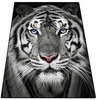 Vaip Conceptum Hypnose Savage 287CHL1486, 80 x 100 cm, valge/must/hall