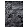 Vaip Ayyildiz Parma, 200 x 290 cm, must/tumehall