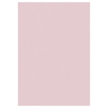 Vaip Sky 1201705400, 120 x 170 cm, roosa
