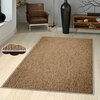 Vaip Conceptum Hypnose EXFAB253, 180 x 280 cm, mitmevärviline