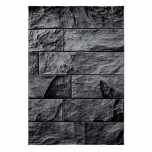 Vaip Ayyildiz Parma 9250, 150 x 80 cm, tumehall