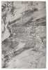 Vaip Domoletti Quadro 8807ak2236, 300 x 200 cm, liivakarva pruun