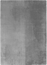 Vaip Ayyildiz Joy 1400, 100 x 60 cm, hõbe