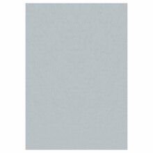 Vaip sise Sky 2403405400, 240 x 340 cm, hõbe