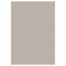 Vaip Sky 2403405400, liivakarva, 240 cm x 340 cm