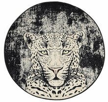 Vaip Conceptum Hypnose Tiger 882CHL1111, 140 x 140 cm, mitmevärviline