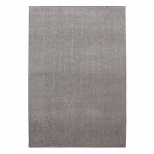 Koridorivaip Ayyildiz Carpets Ata, 80 x 250 cm, beež
