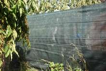 Varjukangas FLO 88740, 1.5 x 10 m, kaitse päikese/tuule/umbrohu eest